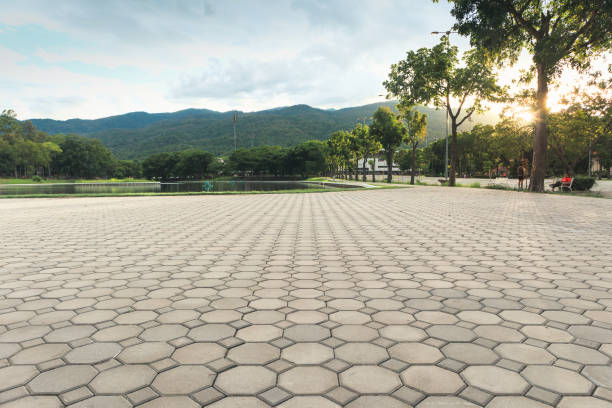 Professional Driveway Pavers in Copperopolis, CA
